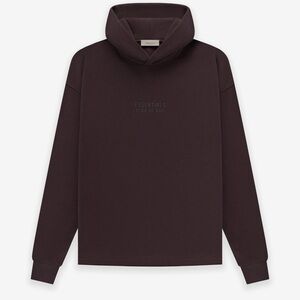 Essentials Relaxed Hoodie in Plum Size Large